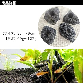 Amazon | S-NET 溶岩 石 火山 岩 水槽 穴あき オブジェ 10個